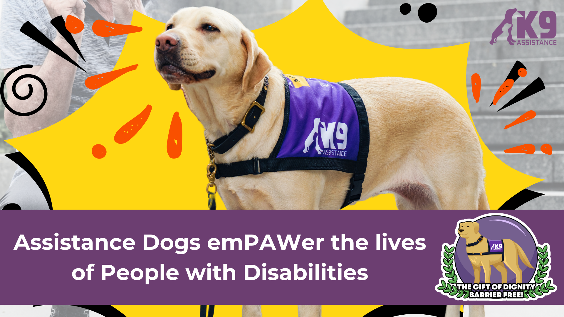 Image of K9Assistance Ambassador Assistance Dog with the line "Assistance Dogs emPAWer the lives of People with Disabilities"
