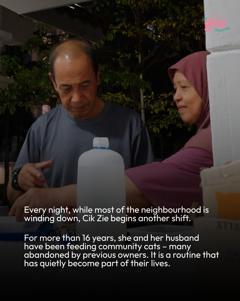 #GiveAbitCan | Help Cik Zie Continue Feeding Singapore’s Community Cats